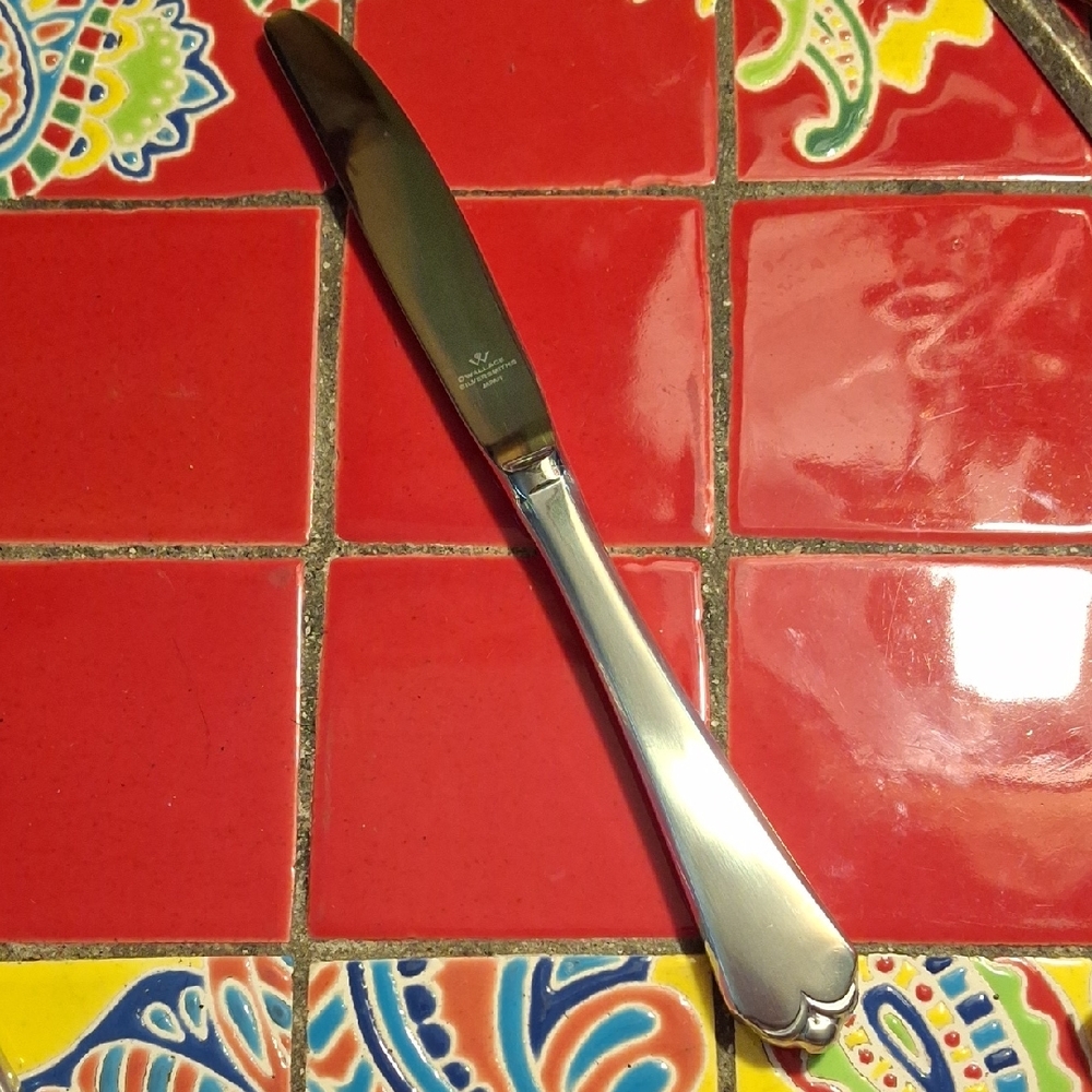 Wallace Silversmiths "Lotus" Satin Stainless Modern Hollow Knife 9 1/8 NeW Vntg